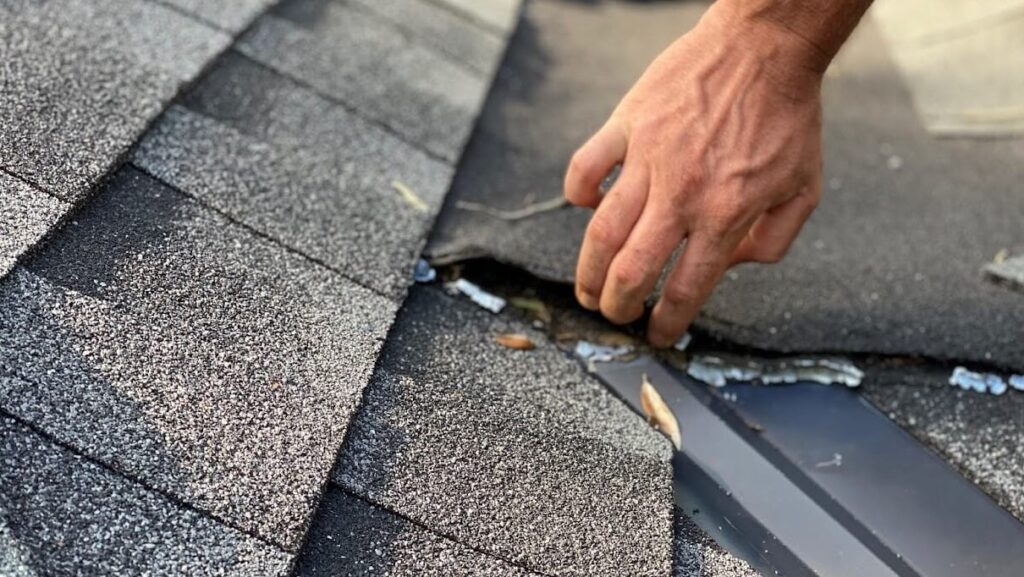 what to do when a storm damages your roof in Erie