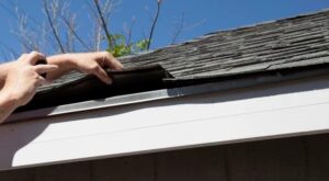 roof maintenance tips in Pennsylvania